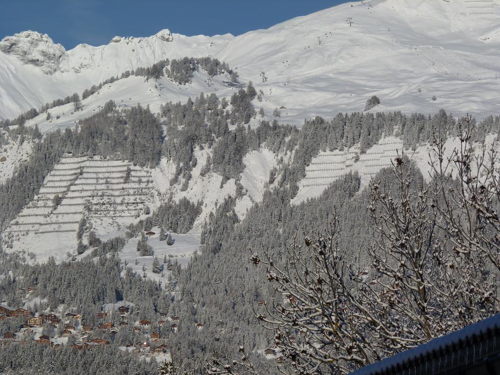 Chalet Des Alpes Bed & Breakfast Crans-Montana Exterior photo