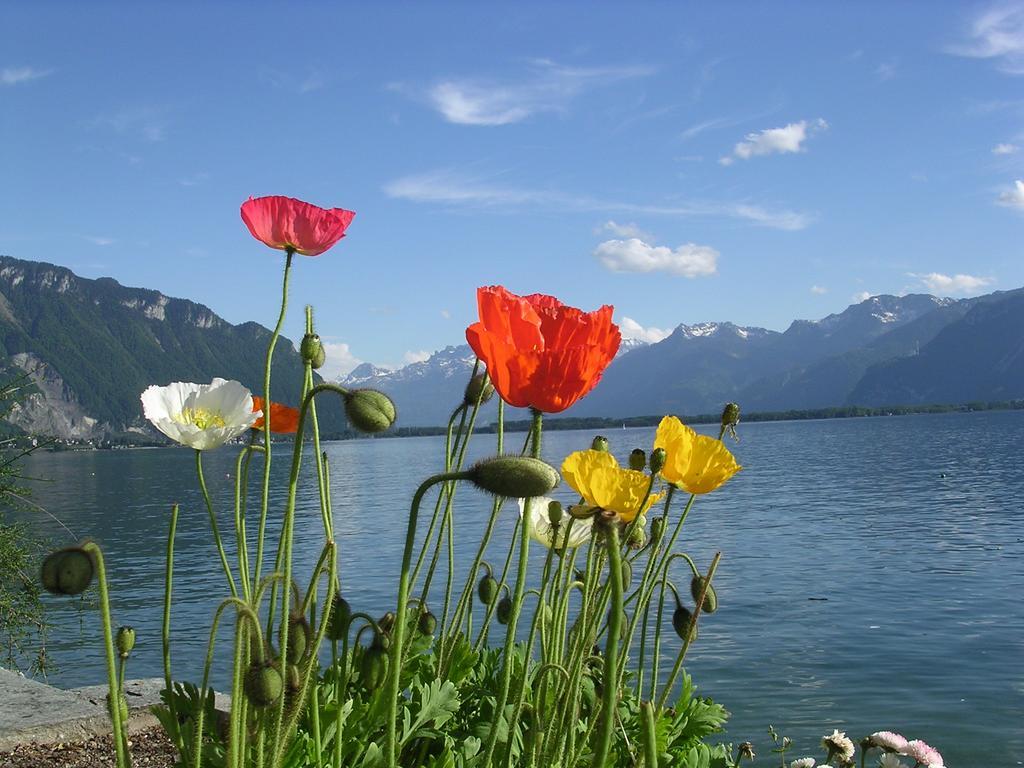 Chalet Des Alpes Bed & Breakfast Crans-Montana Exterior photo