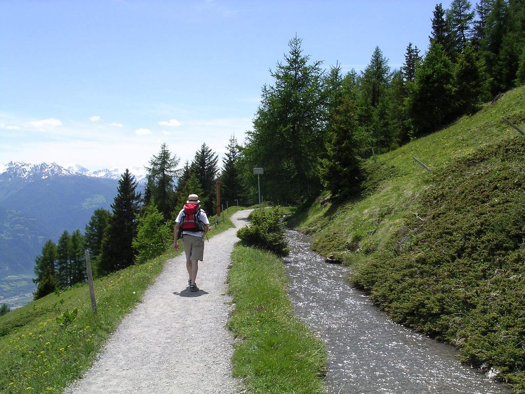 Chalet Des Alpes Bed & Breakfast Crans-Montana Exterior photo